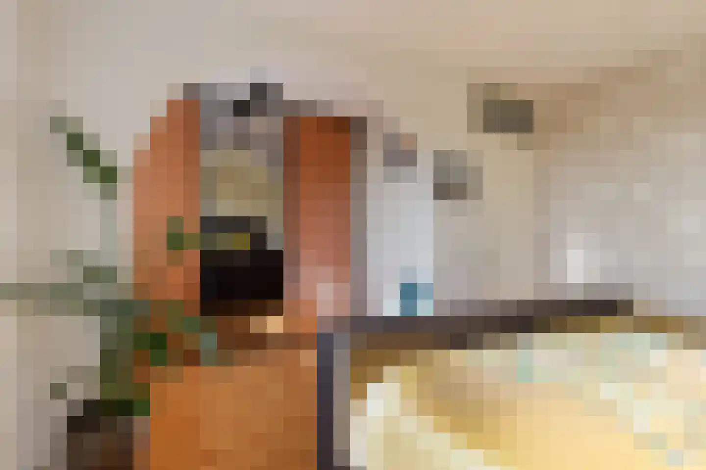 Lekstraat 39 Spijkenisse thumbnail 17