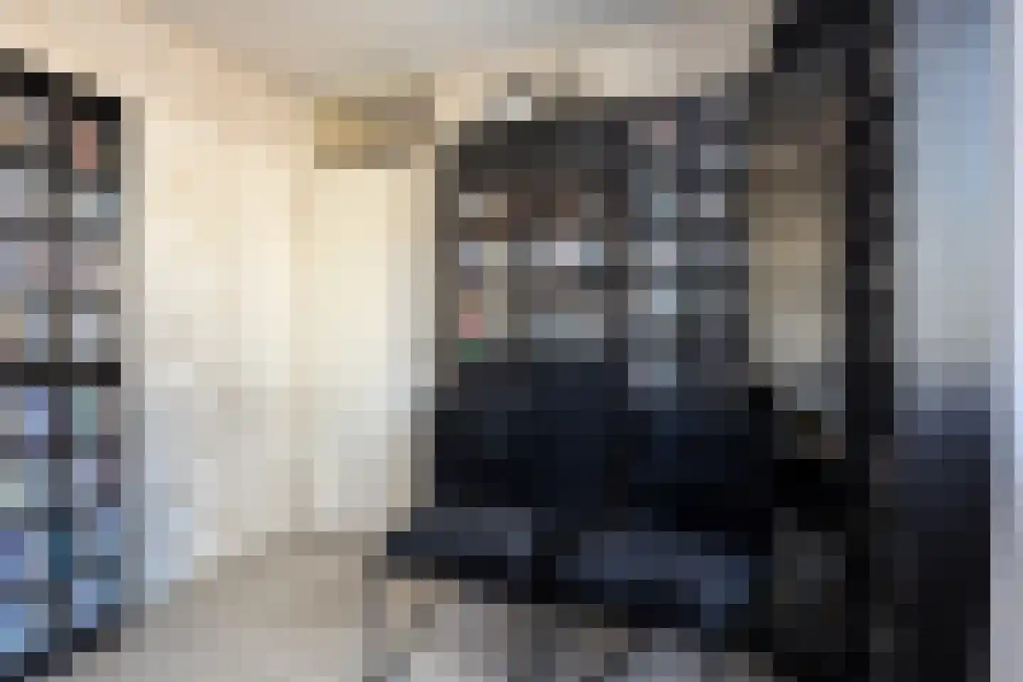 Lekstraat 39 Spijkenisse thumbnail 20