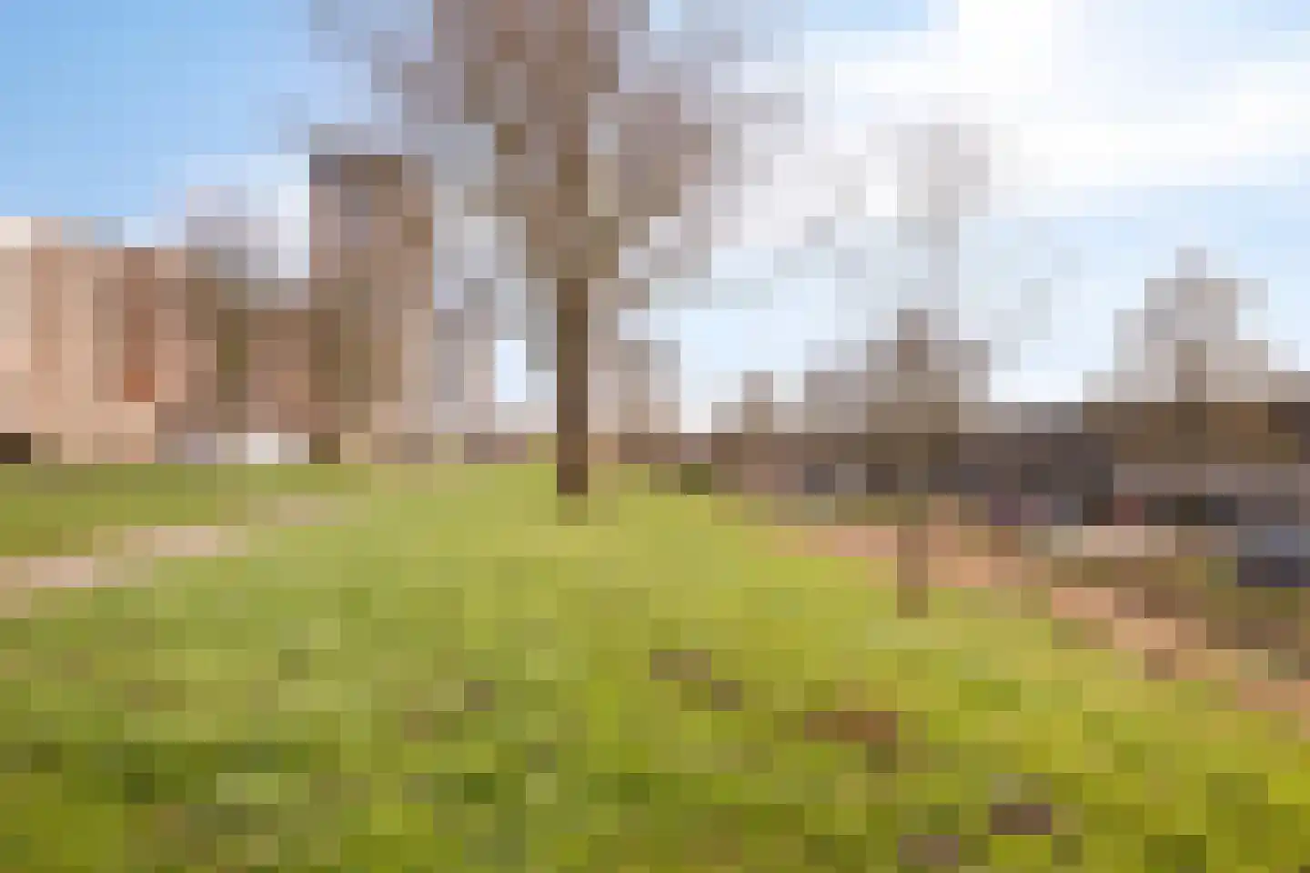 Lekstraat 39 Spijkenisse thumbnail 32