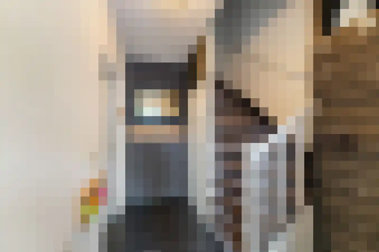Lekstraat 42 Emmeloord thumbnail 12