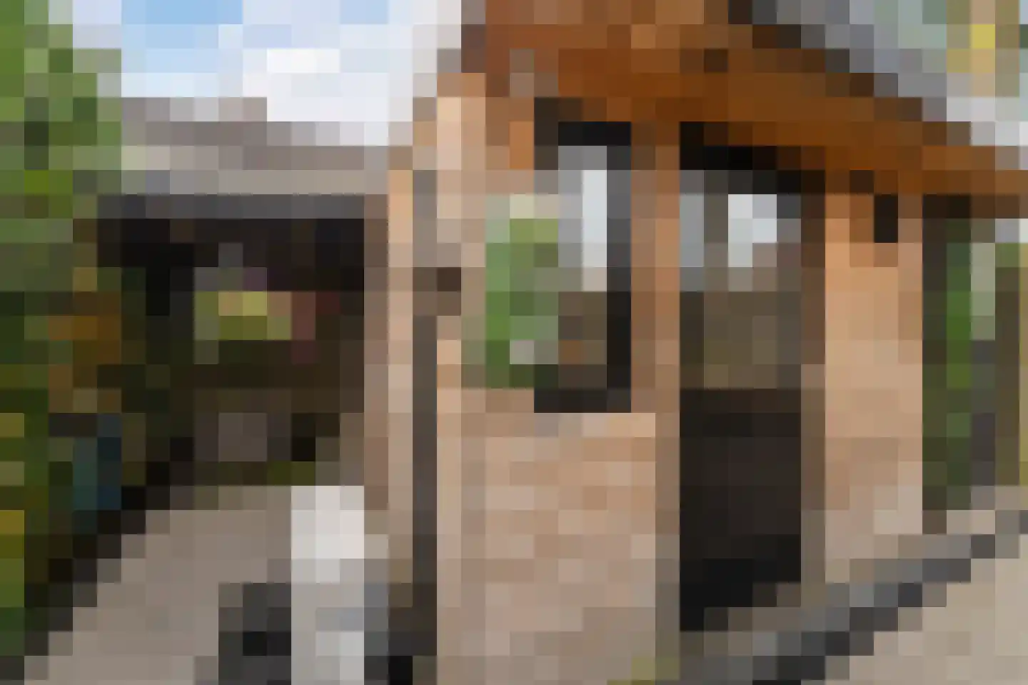 Lekstraat 42 Emmeloord thumbnail 24