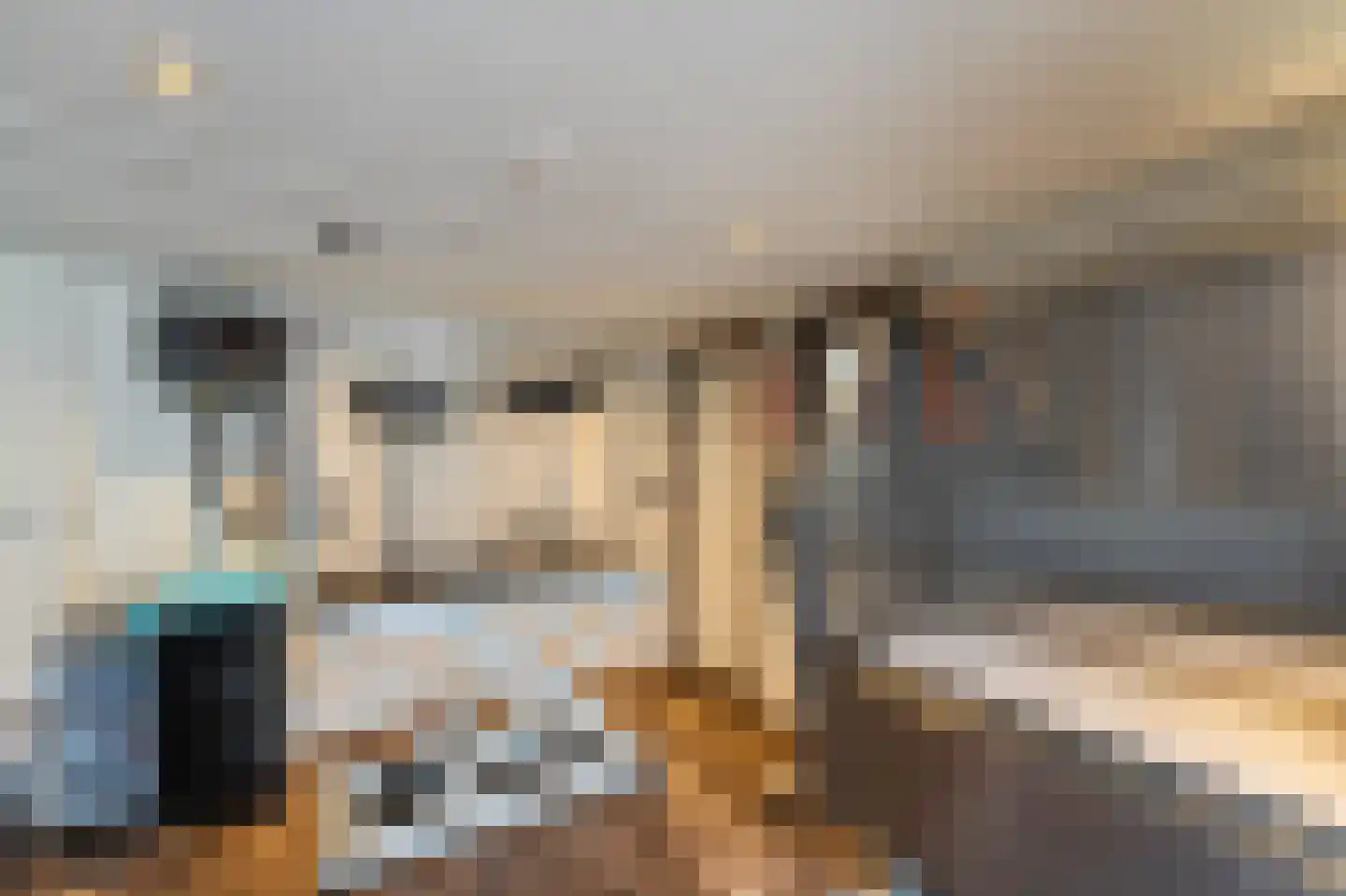 Lekstraat 42 Emmeloord thumbnail 26