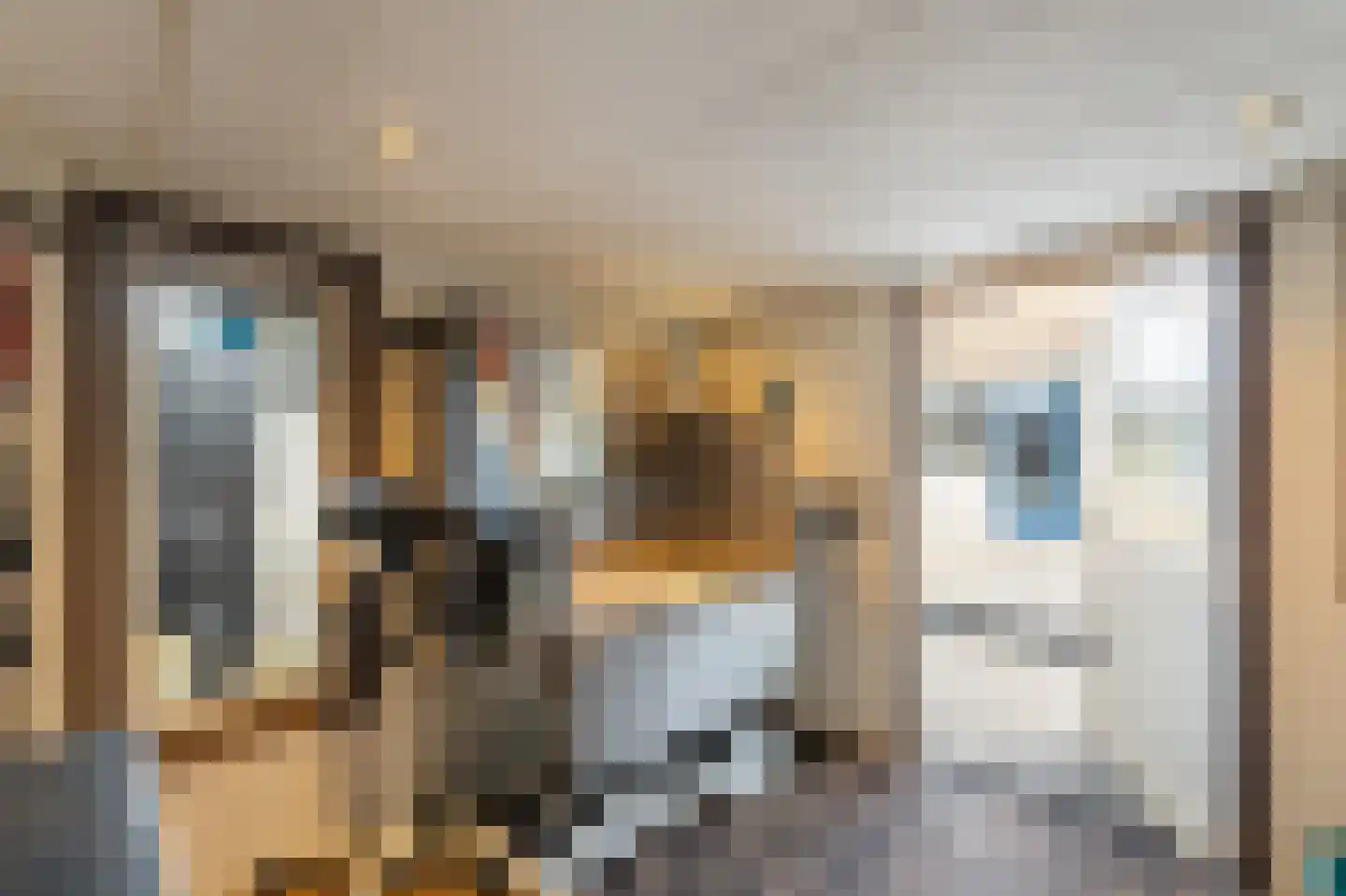 Lekstraat 42 Emmeloord thumbnail 27