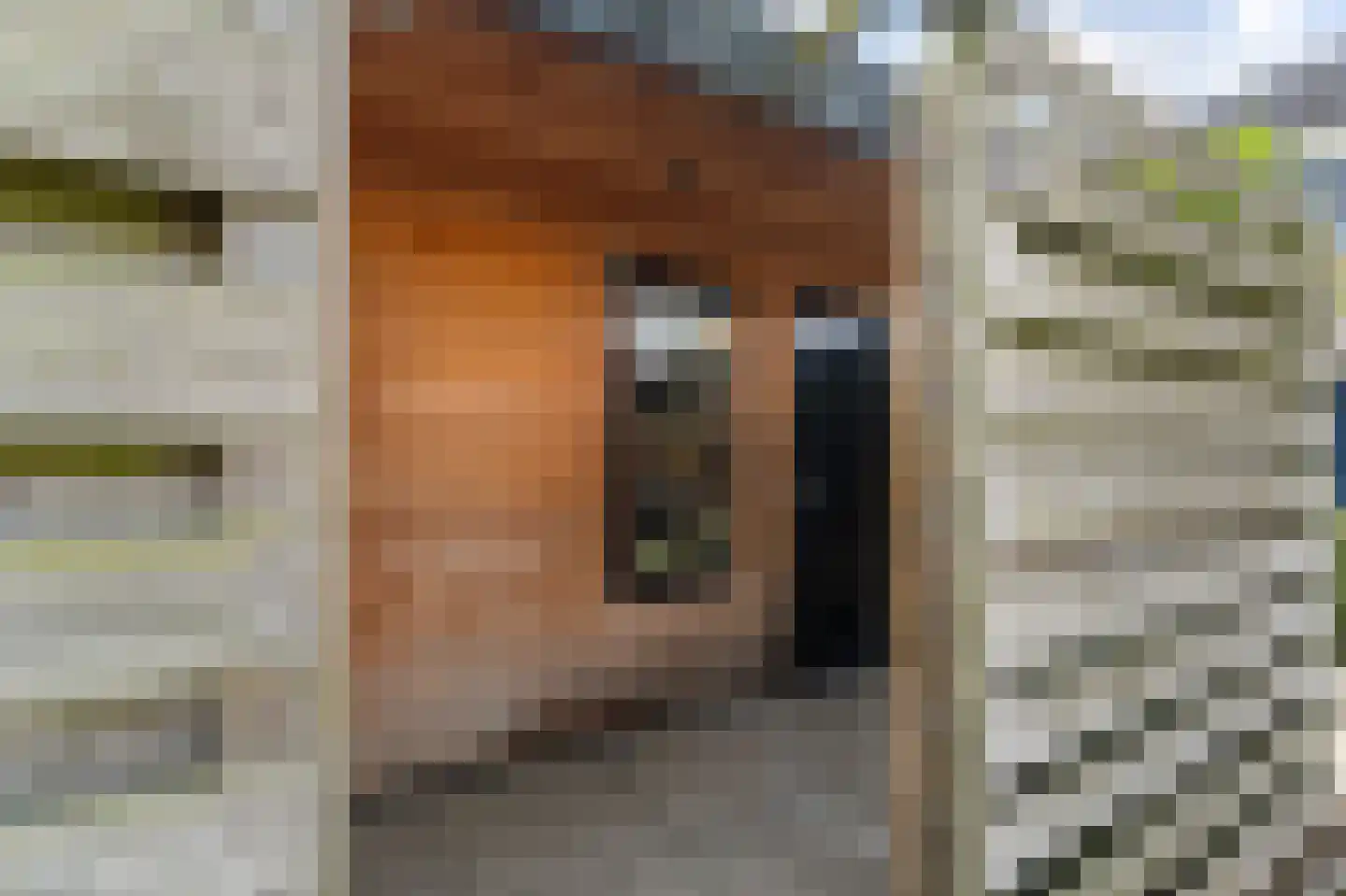Lekstraat 42 Emmeloord thumbnail 28