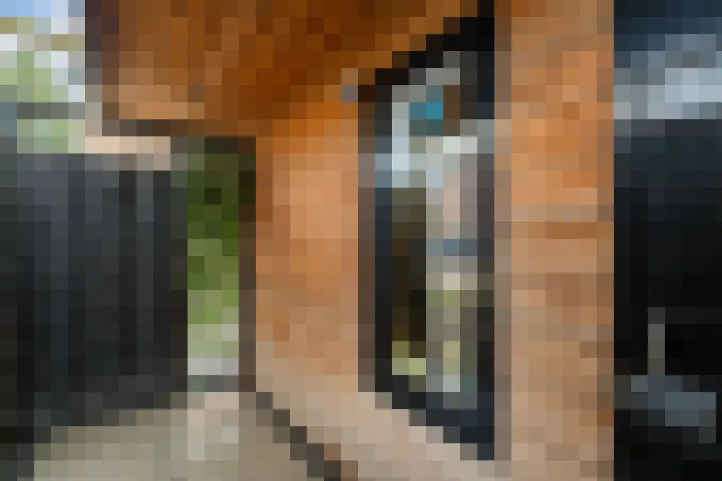 Lekstraat 42 Emmeloord thumbnail 29