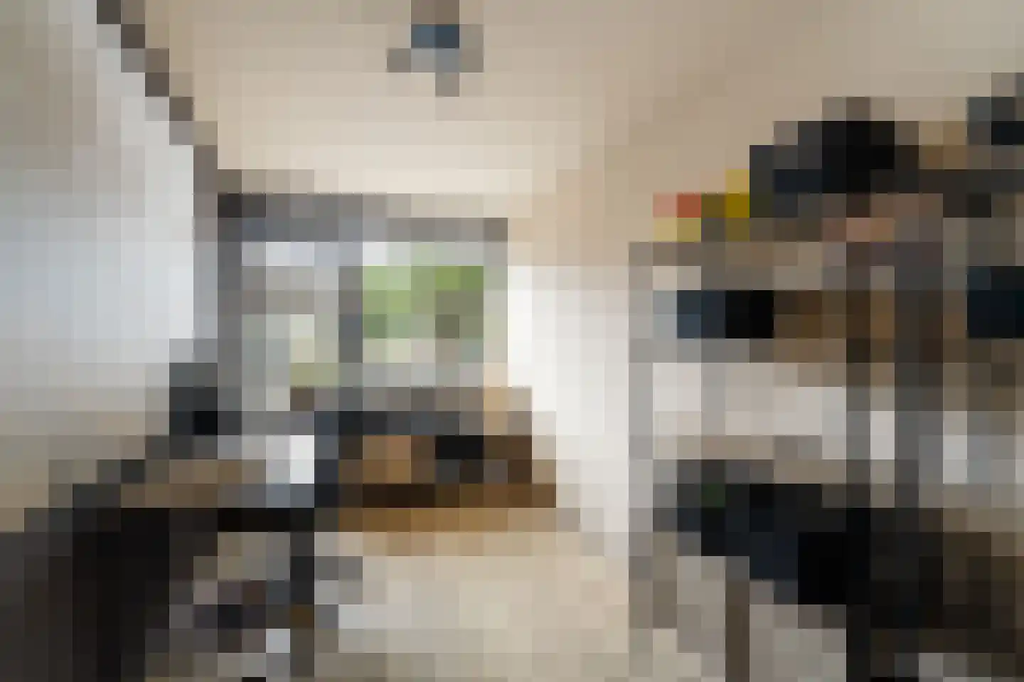Lekstraat 42 Emmeloord thumbnail 32