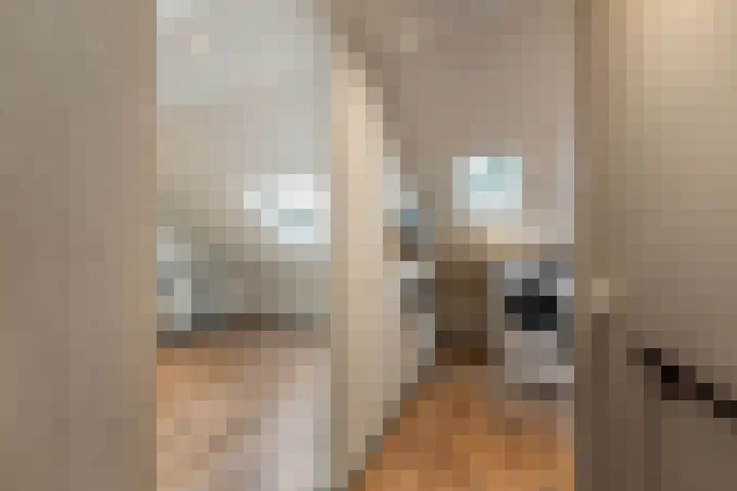 Lekstraat 42 Emmeloord thumbnail 43