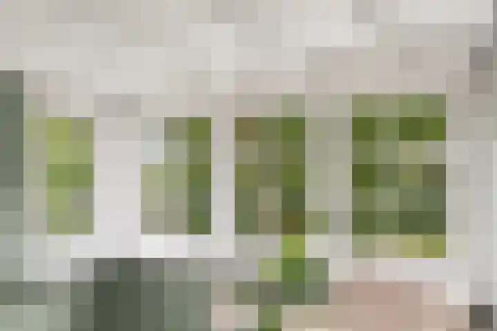 Lekstraat 45 Almere thumbnail 30