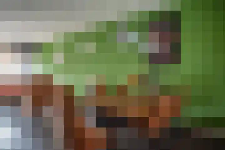 Lekstraat 48 Emmeloord thumbnail 15