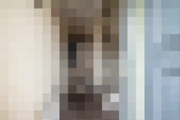Lekstraat 48 Emmeloord thumbnail 4