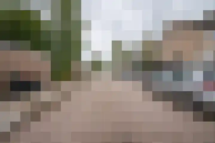 Lekstraat 48 Emmeloord thumbnail 41