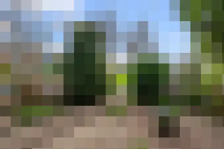 Lekstraat 5 Beverwijk thumbnail 38
