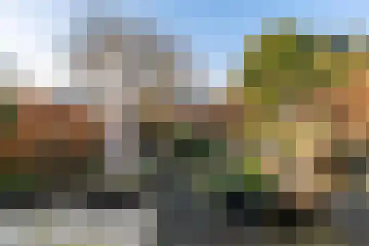 Lekstraat 5 Groningen thumbnail 11