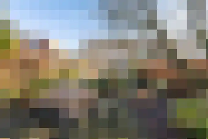 Lekstraat 5 Groningen thumbnail 13