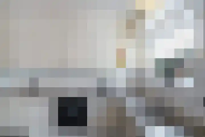 Lekstraat 5 Groningen thumbnail 16