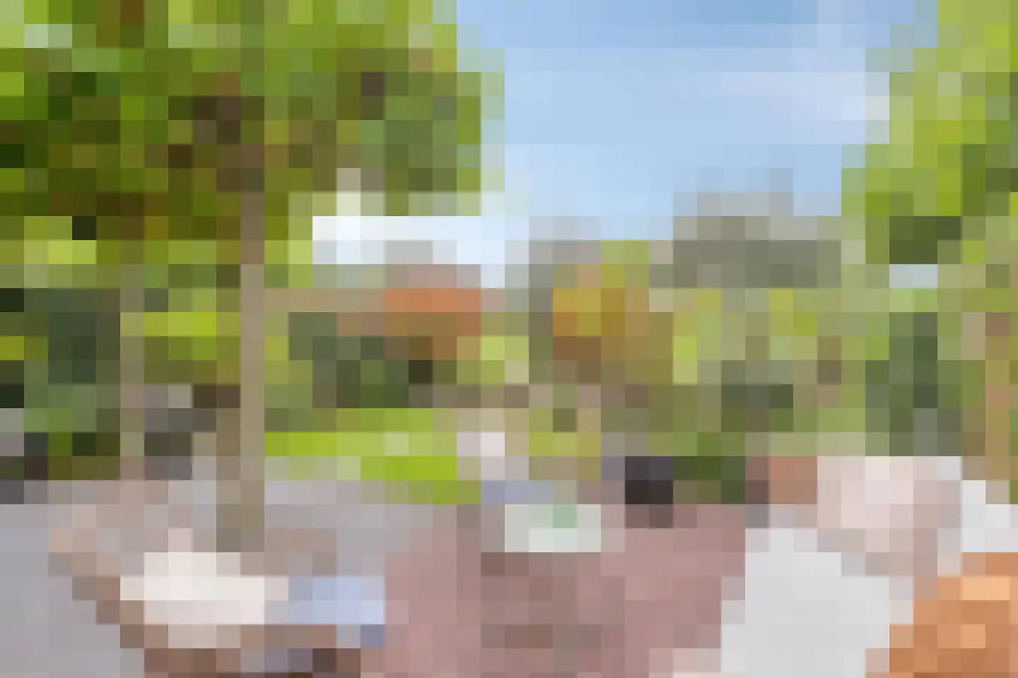 Lekstraat 5 IJsselstein thumbnail 39