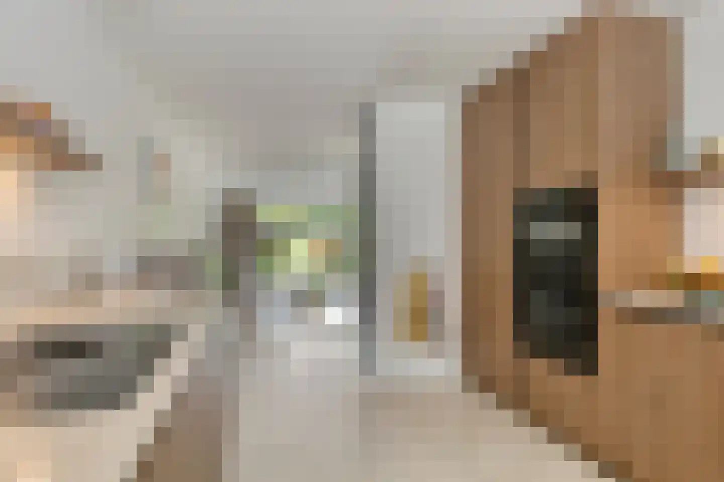 Lekstraat 5 IJsselstein thumbnail 5