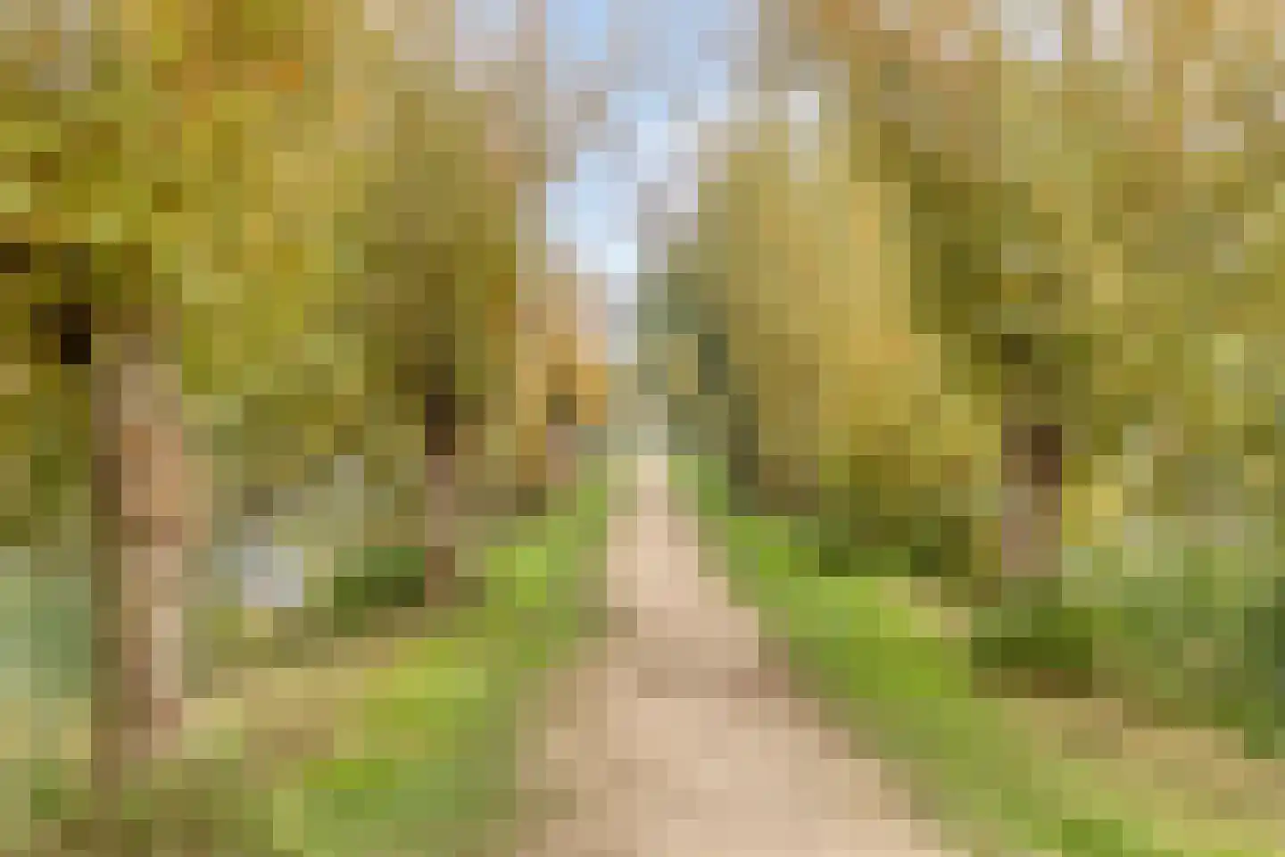 Lekstraat 5 IJsselstein thumbnail 52