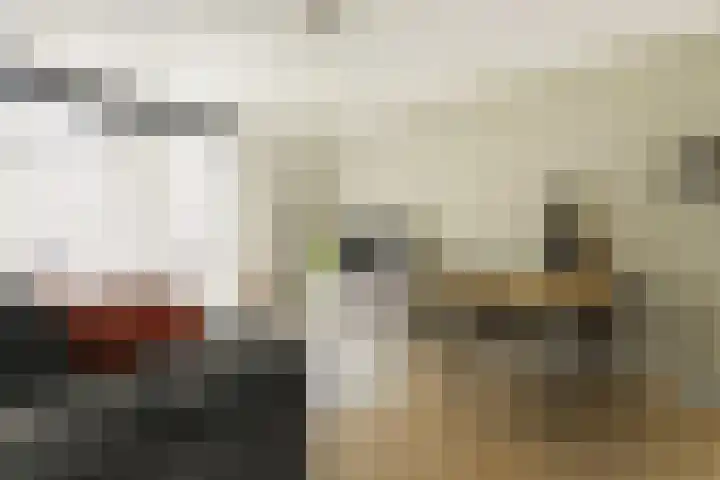 Lekstraat 56 1 Amsterdam thumbnail 21