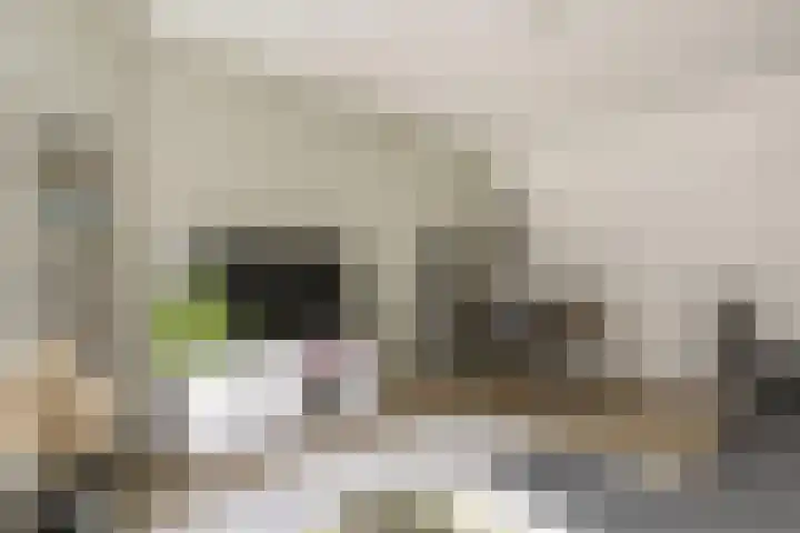 Lekstraat 56 1 Amsterdam thumbnail 7