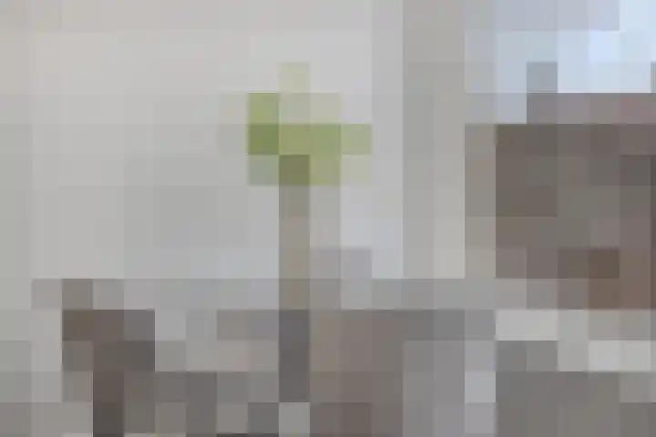 Lekstraat 6 Purmerend thumbnail 10