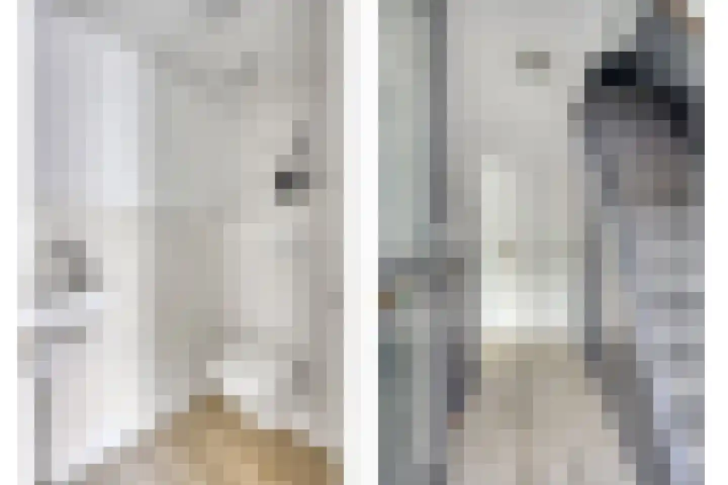 Lekstraat 6 Purmerend thumbnail 11