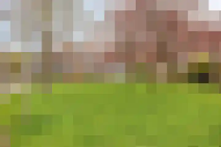 Lekstraat 6 Purmerend thumbnail 23