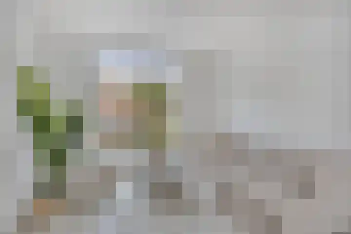 Lekstraat 6 Purmerend thumbnail 4