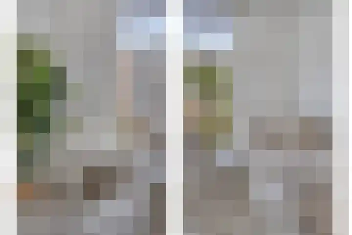 Lekstraat 6 Purmerend thumbnail 5