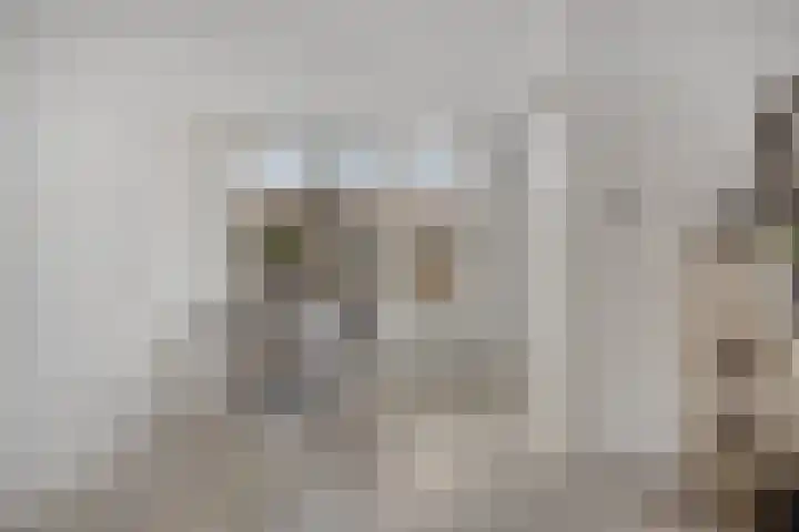 Lekstraat 6 Purmerend thumbnail 6