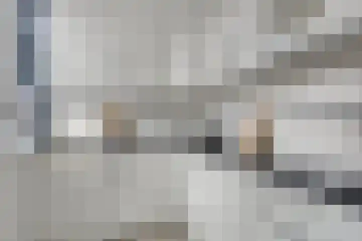 Lekstraat 6 Purmerend thumbnail 7