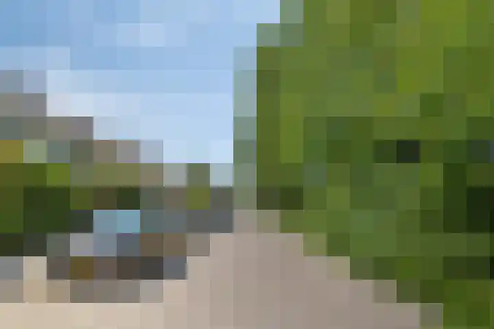 Lekstraat 63 Leiden thumbnail 47