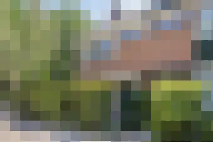 Lekstraat 63 Leiden thumbnail 6