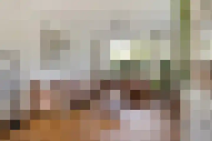 Lekstraat 63 Leiden thumbnail 9