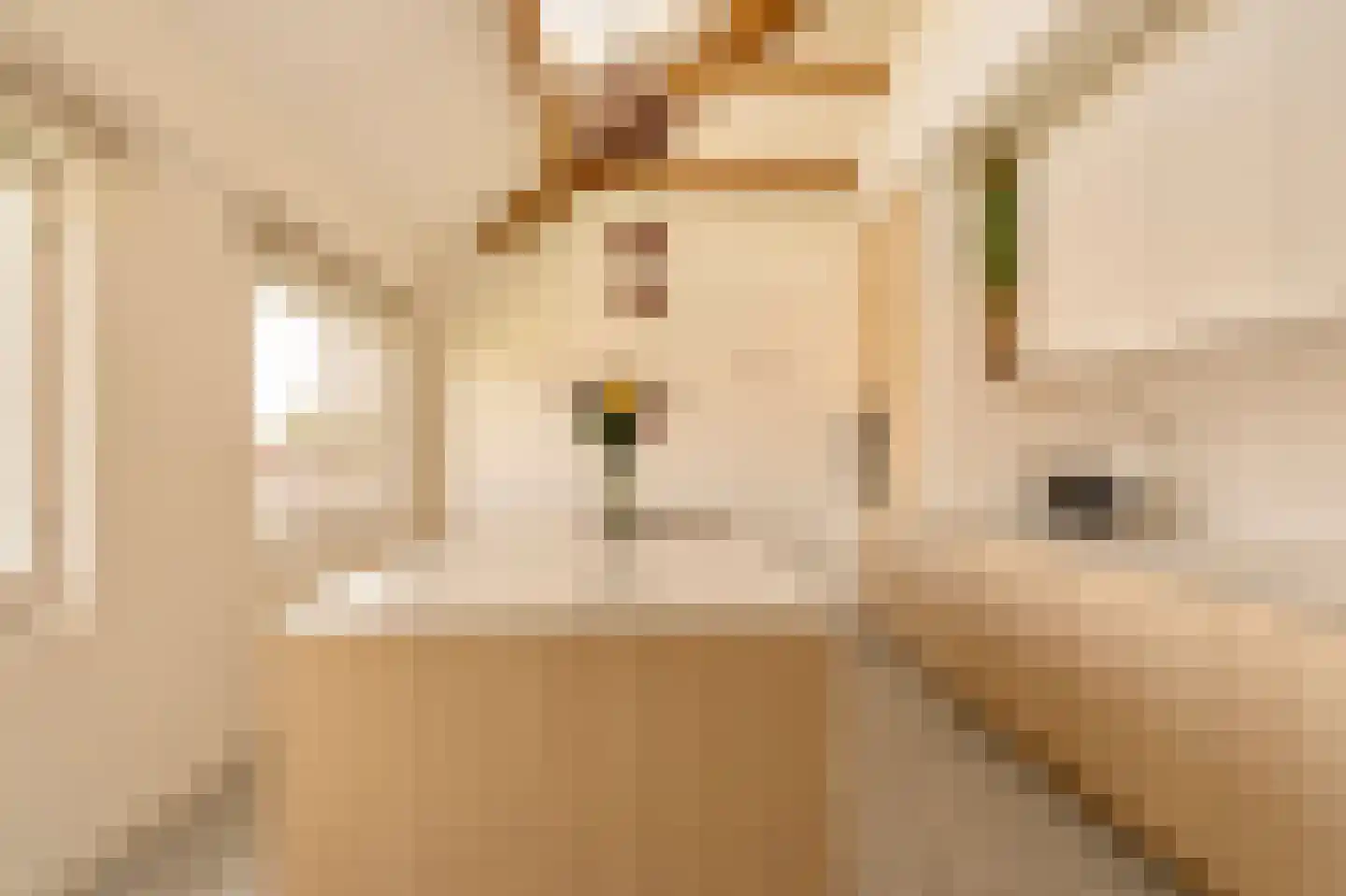 Lekstraat 66 4 Amsterdam thumbnail 18