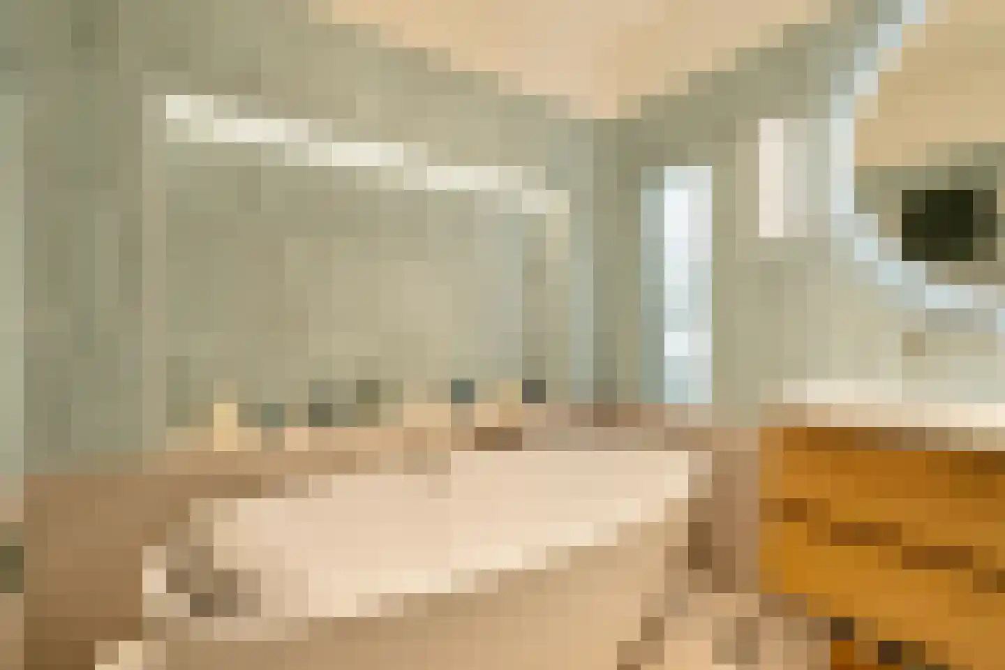 Lekstraat 66 4 Amsterdam thumbnail 35