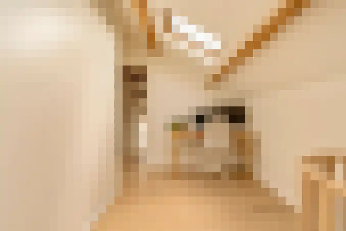 Lekstraat 66 4 Amsterdam thumbnail 41