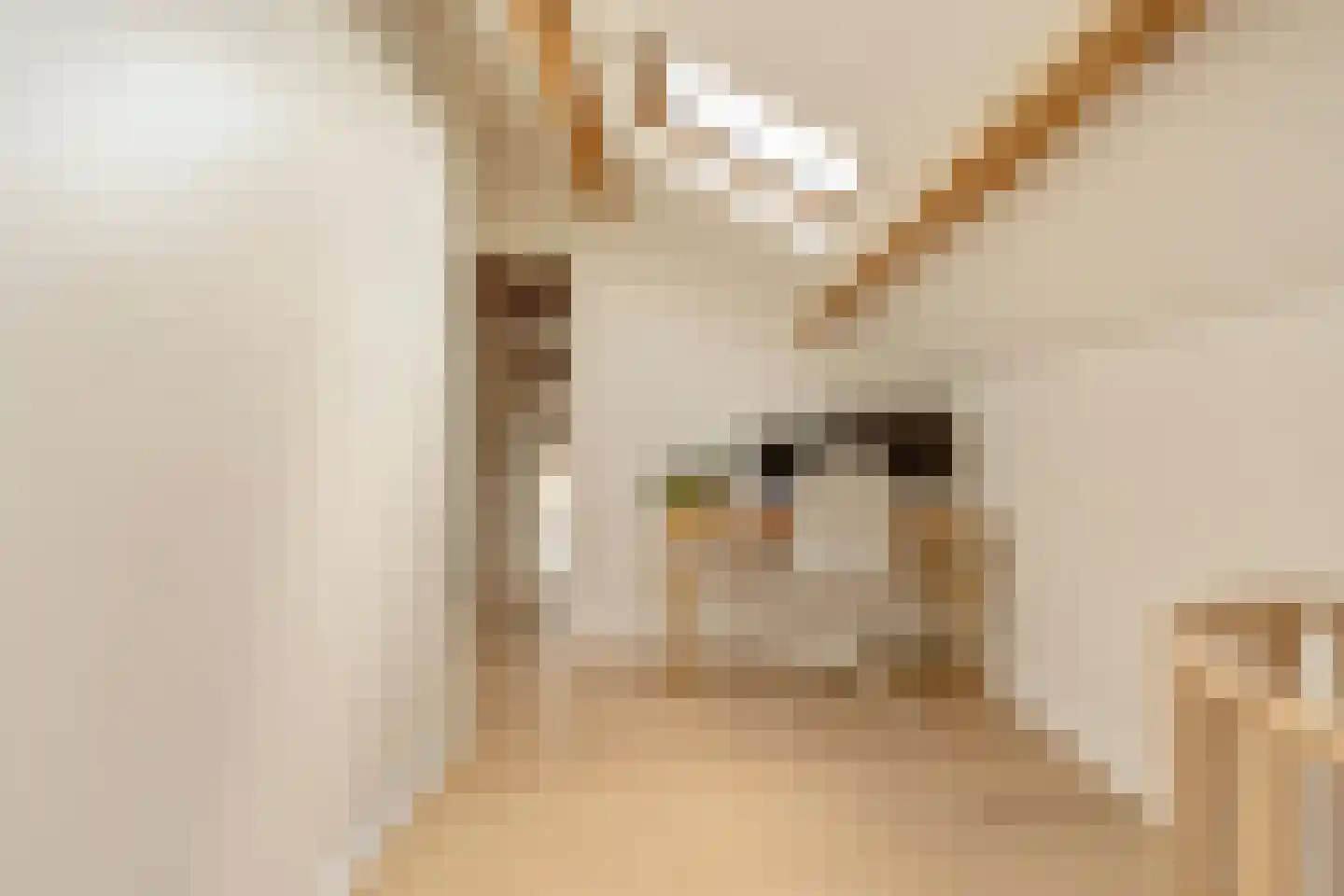 Lekstraat 66 4 Amsterdam thumbnail 44