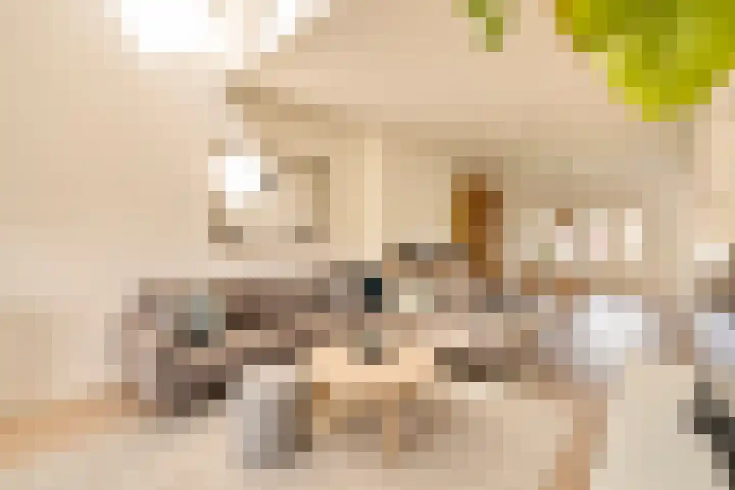Lekstraat 66 4 Amsterdam thumbnail 6