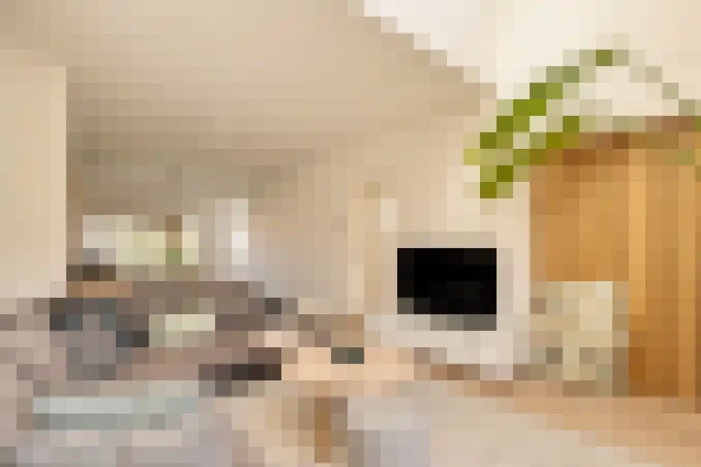 Lekstraat 66 4 Amsterdam thumbnail 9