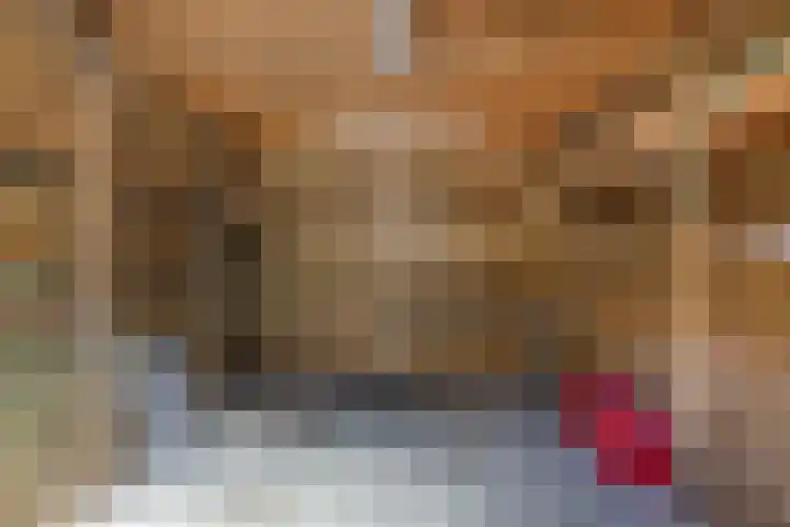 Lekstraat 66 Assen thumbnail 20