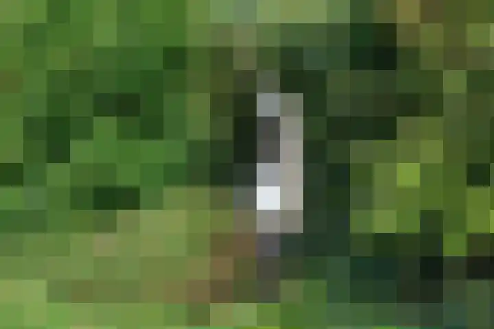 Lekstraat 66 Assen thumbnail 21