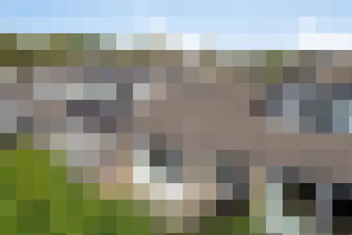 Lekstraat 66 Assen thumbnail 23