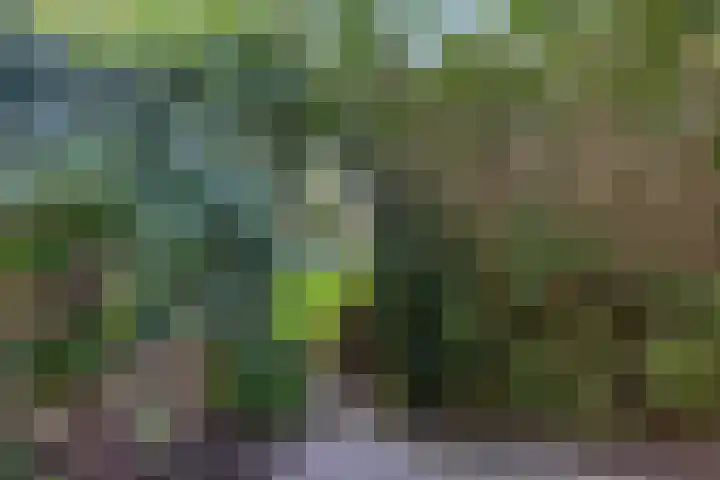 Lekstraat 66 Assen thumbnail 26