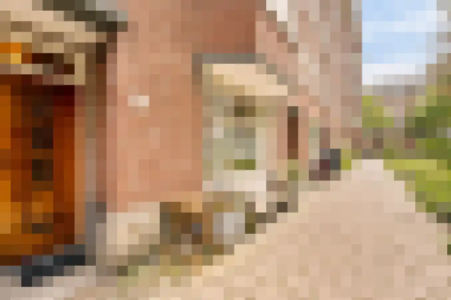 Lekstraat 67 1 Amsterdam thumbnail 32