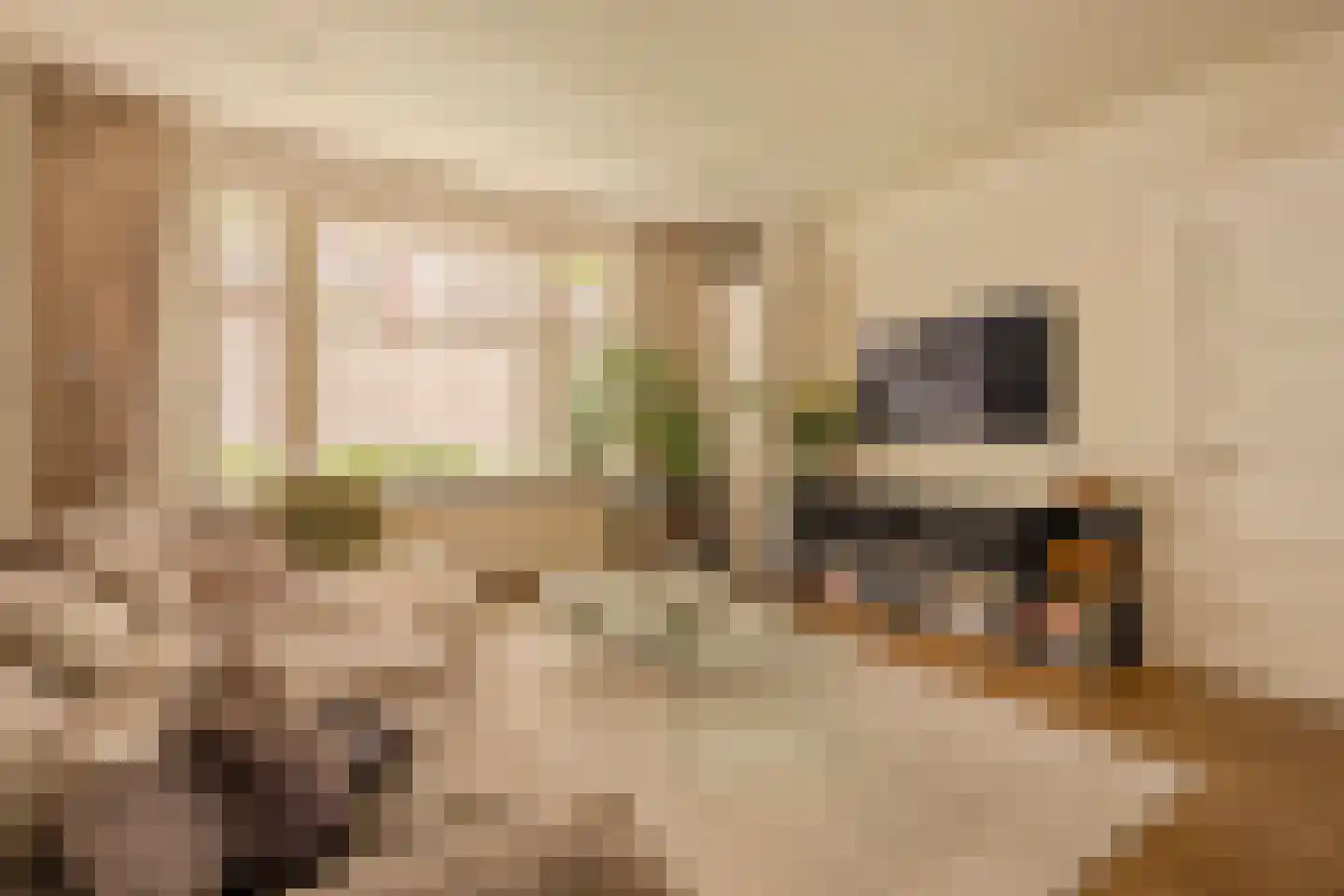 Lekstraat 67 1 Amsterdam thumbnail 6