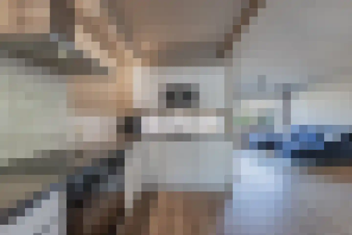 Lekstraat 68 Emmeloord thumbnail 10