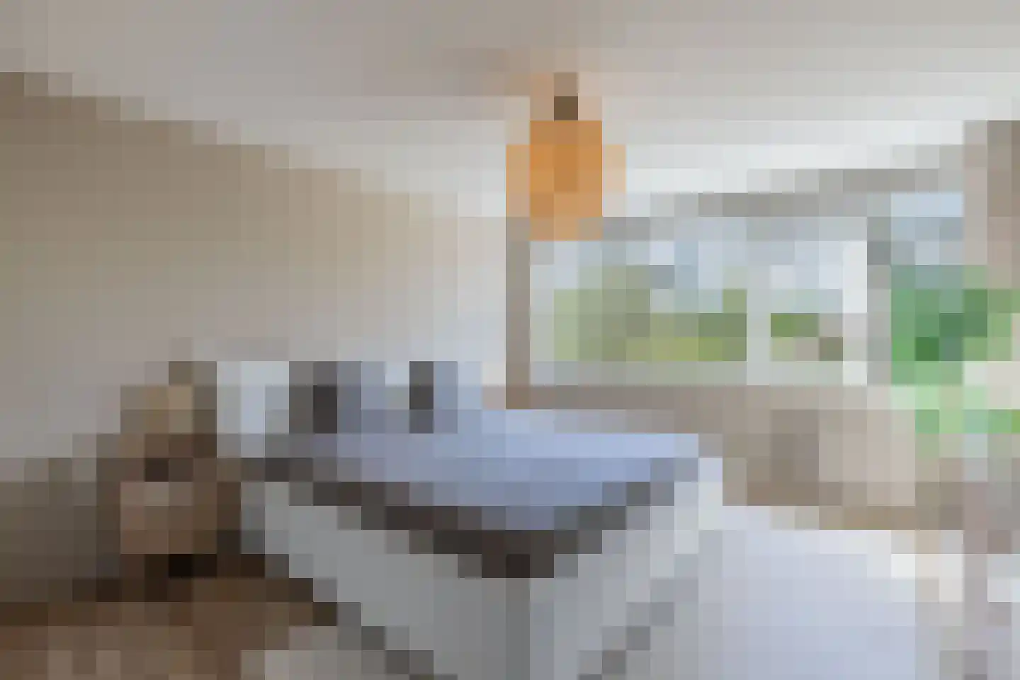 Lekstraat 68 Emmeloord thumbnail 19