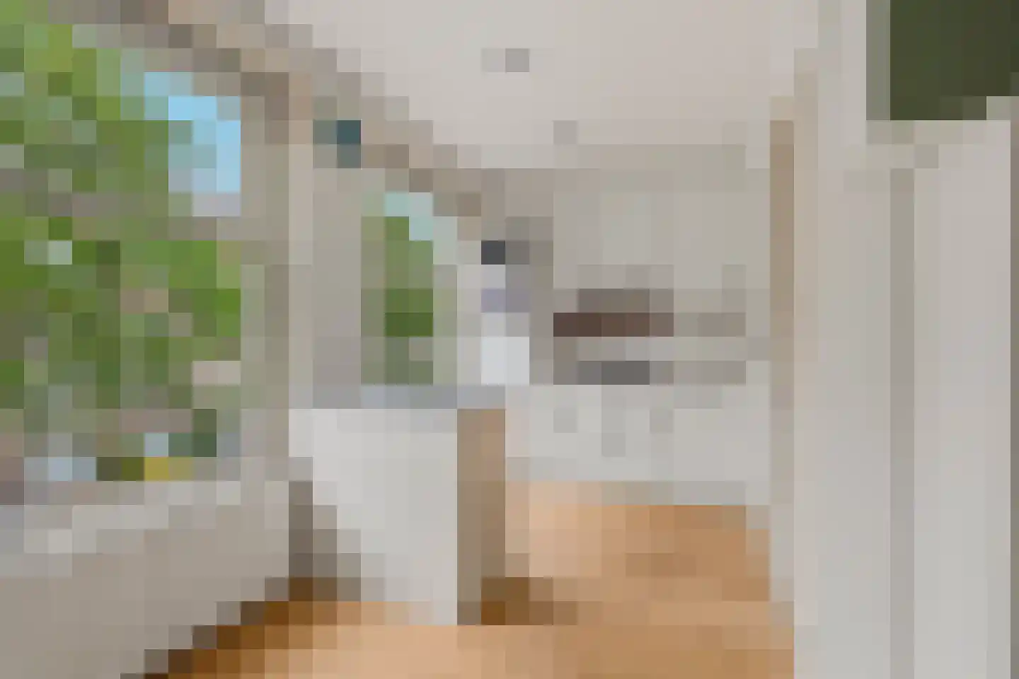 Lekstraat 69 2 Amsterdam thumbnail 8
