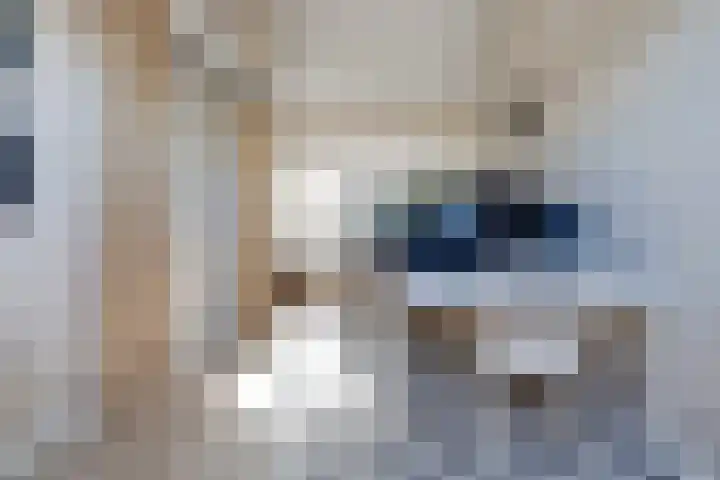 Lekstraat 70 Hoef en Haag thumbnail 32